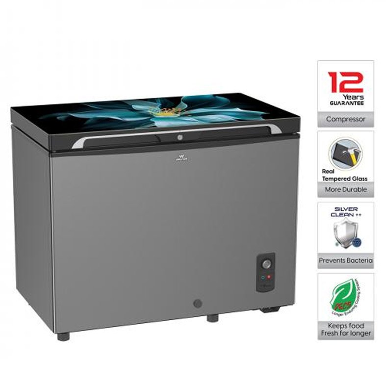 Walton Freezer 255L / WCG-2E5-GDEL-XX