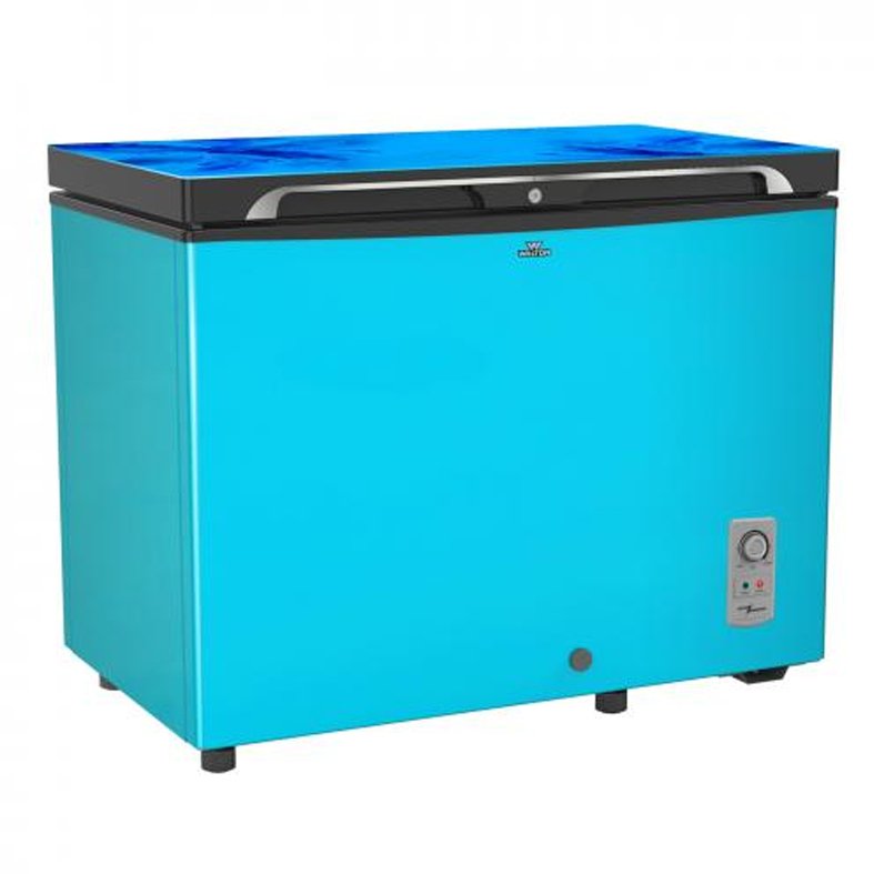 Walton Freezer 255L / WCG-2E5-GDEL-XX - Image 2