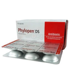 Phylopen DS Capsule 500 mg